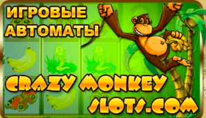 Обзор автомата Crazy Monkey
