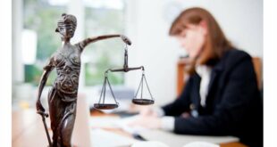 Роль и важность услуг юристов в современном обществе