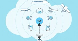 Зачем нужна TMS система в логистике?